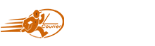 world express delivery services